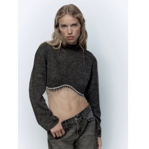 NWT ZARA Jewel Soft Sweatshirt